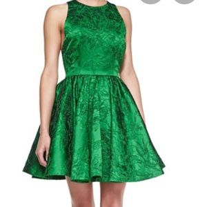 Alice + Olivia, super flattering fit and flare